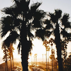 Meet your Posher, Joyann